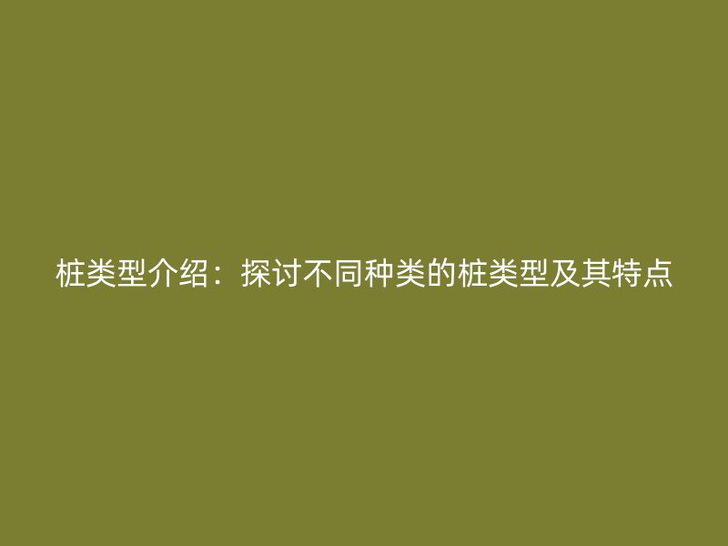 樁類型介紹：探討不同種類的樁類型及其特點(diǎn)