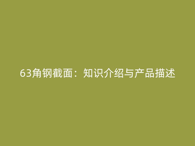 63角鋼截面：知識介紹與產(chǎn)品描述