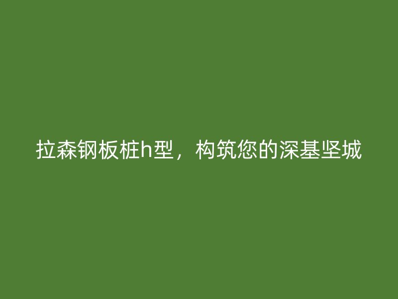 拉森鋼板樁h型，構(gòu)筑您的深基堅(jiān)城