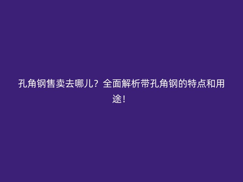 孔角鋼售賣去哪兒？全面解析帶孔角鋼的特點(diǎn)和用途！