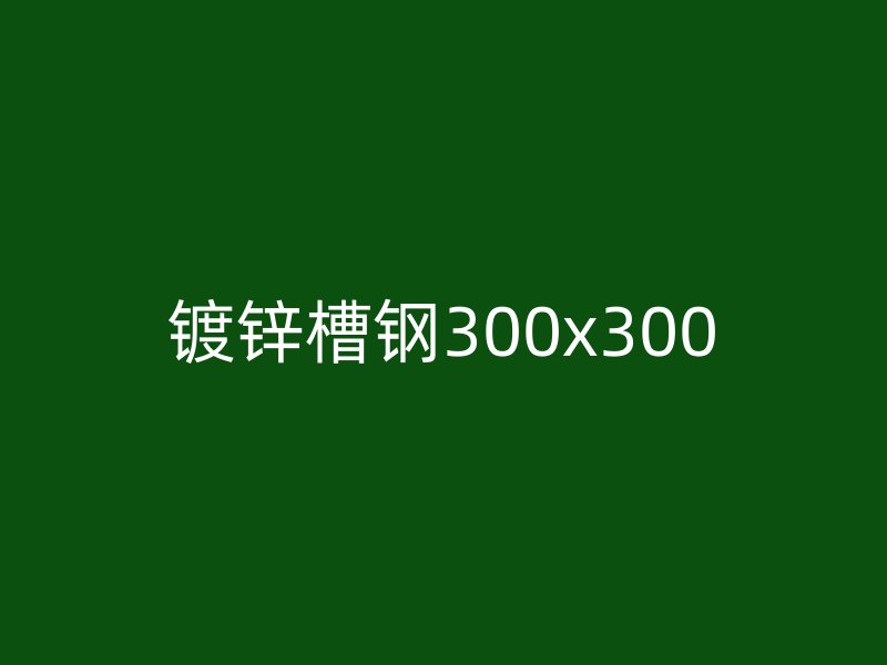 鍍鋅槽鋼300x300