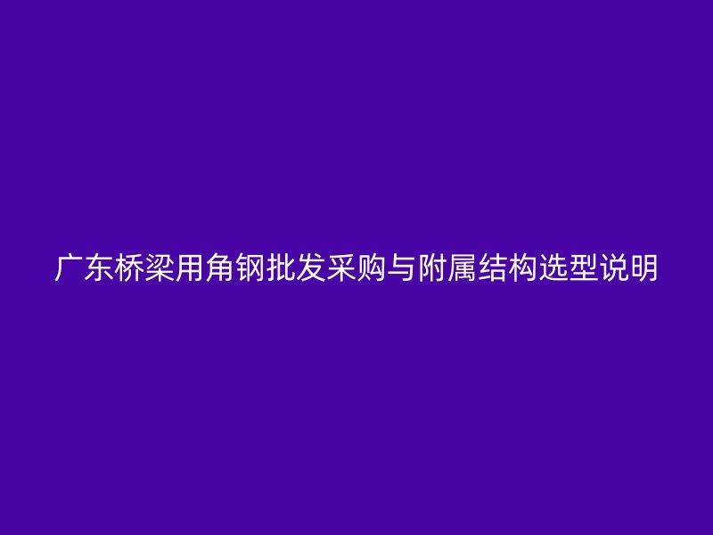 廣東橋梁用角鋼批發(fā)采購與附屬結(jié)構(gòu)選型說明
