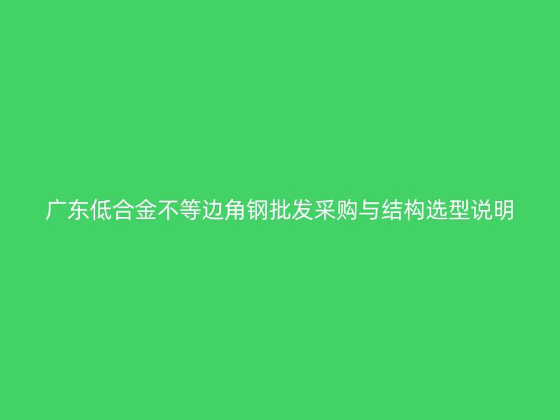 廣東低合金不等邊角鋼批發(fā)采購與結(jié)構(gòu)選型說明