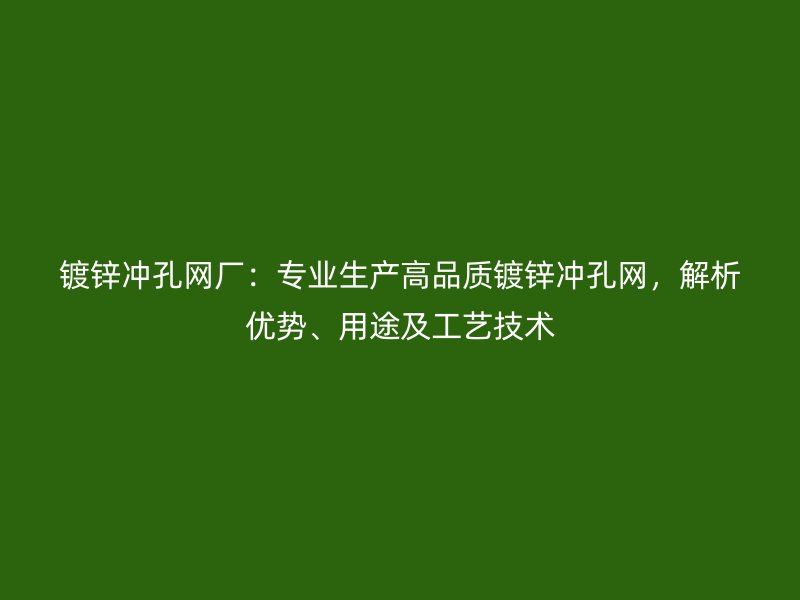 鍍鋅沖孔網(wǎng)廠：專業(yè)生產(chǎn)高品質(zhì)鍍鋅沖孔網(wǎng)，解析優(yōu)勢、用途及工藝技術(shù)