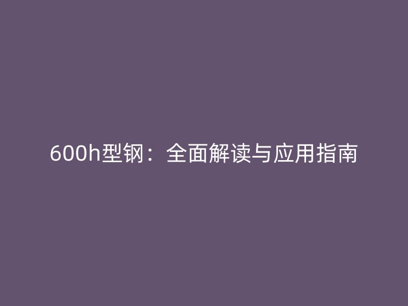 600h型鋼：全面解讀與應(yīng)用指南