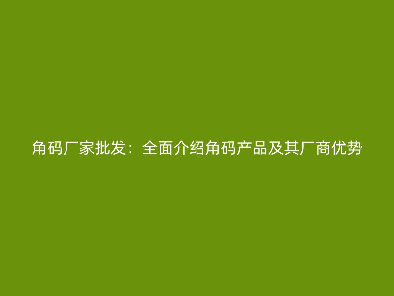 角碼廠家批發(fā)：全面介紹角碼產(chǎn)品及其廠商優(yōu)勢(shì)
