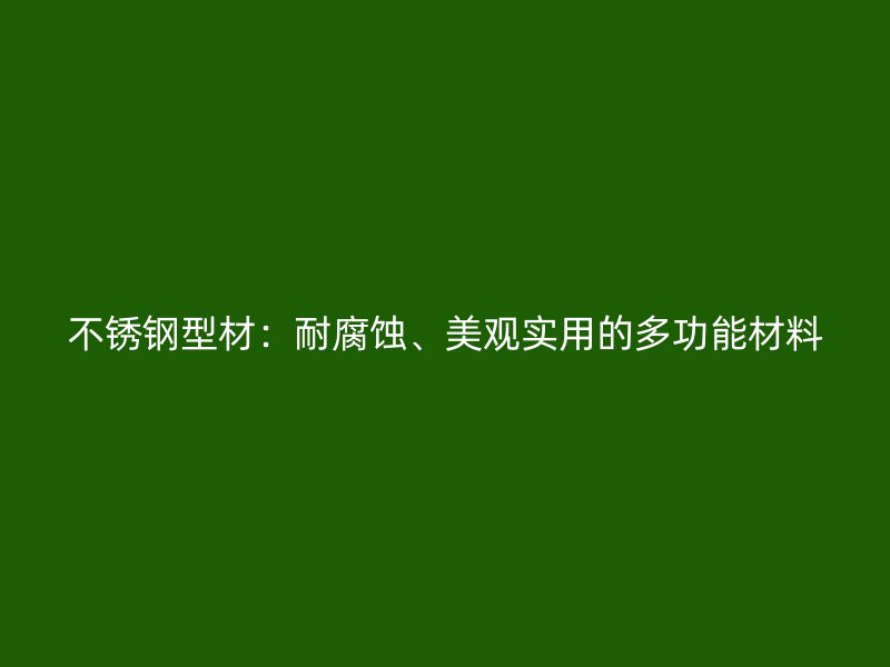 不銹鋼型材：耐腐蝕、美觀實用的多功能材料