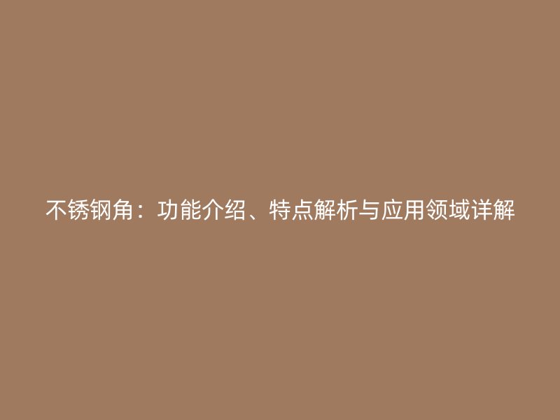 不銹鋼角：功能介紹、特點(diǎn)解析與應(yīng)用領(lǐng)域詳解