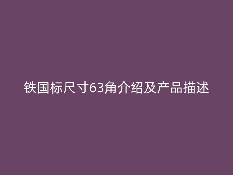 鐵國標(biāo)尺寸63角介紹及產(chǎn)品描述
