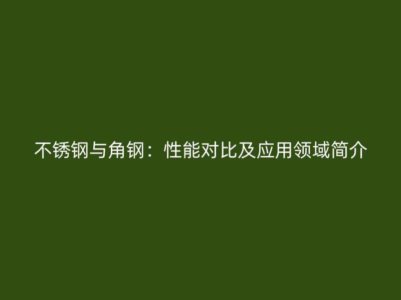 不銹鋼與角鋼：性能對比及應(yīng)用領(lǐng)域簡介