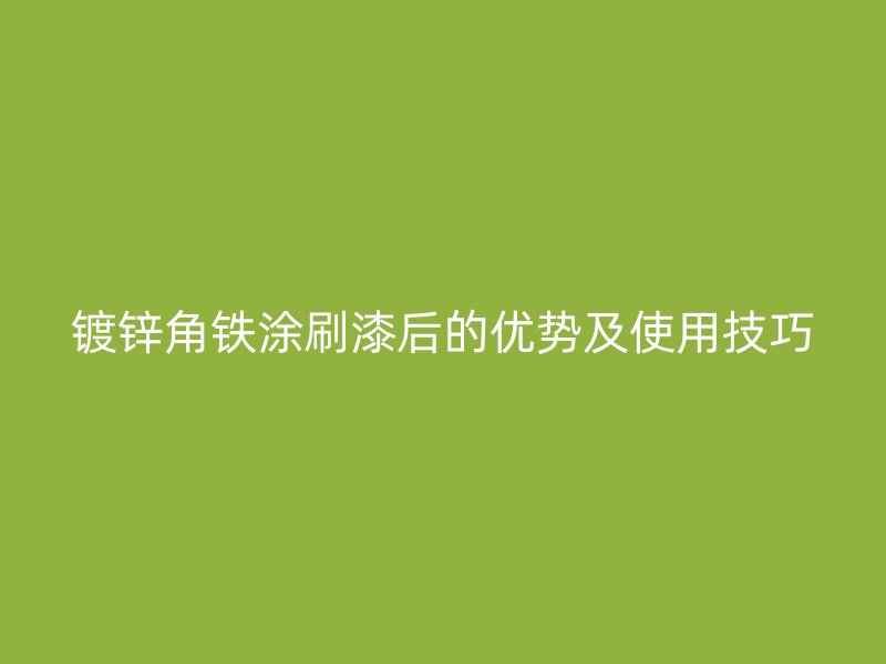 鍍鋅角鐵涂刷漆后的優(yōu)勢(shì)及使用技巧