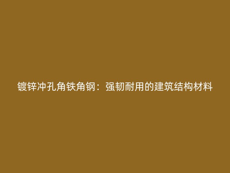 鍍鋅沖孔角鐵角鋼：強韌耐用的建筑結(jié)構(gòu)材料